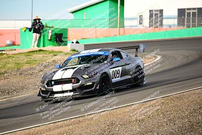 media/Feb-25-2024-Speed Ventures (Sun) [[b9a2a97a4d]]/Mustang Drivers Club/Session 1 (Turns 4 and 5)/